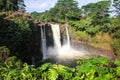 Rainbow WaiÃÂnuenue Falls in Hilo, Hawaii Royalty Free Stock Photo